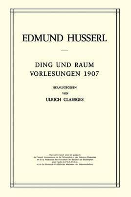 Ding und Raum: Vorlesungen 1907