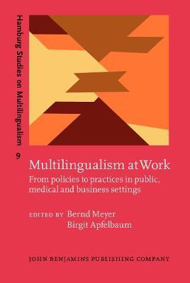Multilingualism at Work: From policies to practices in public, medical and business settings