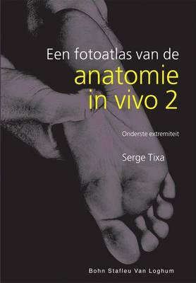 Anatomie In Vivo Ivo: 2