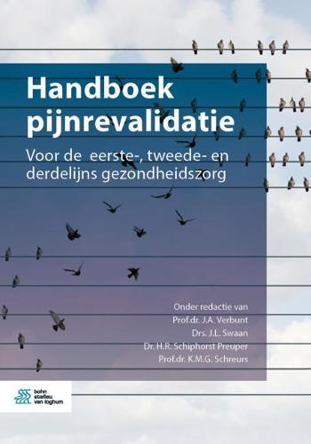 Handboek Pijnrevalidatie: Voor de Eerste-, Tweede- En Derdelijns Gezondheidszorg