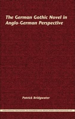 The German Gothic Novel in Anglo-German Perspective