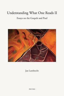 Understanding What One Reads: Essays on the Gospels and Paul (2003-2011)