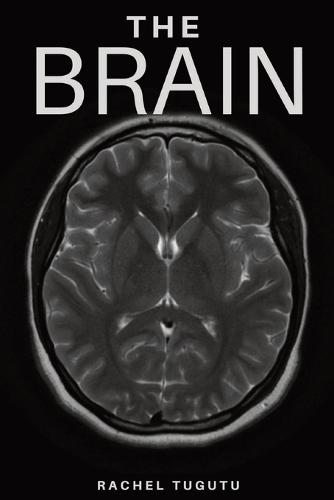 The Brain