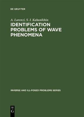 Identification Problems of Wave Phenomena - theory and numerics