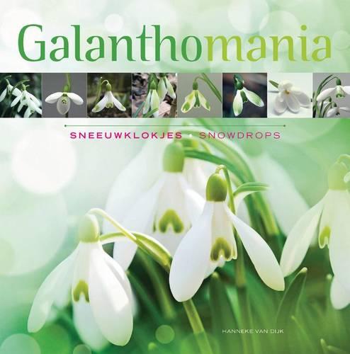 Galanthomania Snowdrops