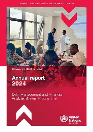 Debt Management and Financial Analysis System Programme Annual Report 2024