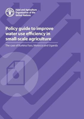 Policy guide to improve water use efficiency in small-scale agriculture: the case of Burkina Faso, Morocco and Uganda