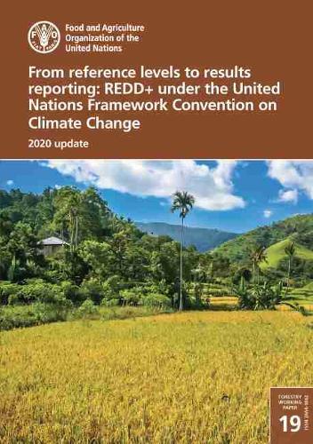 From reference levels to results reporting: REDD+ under the United Nations Framework Convention on Climate Change, 2020 update