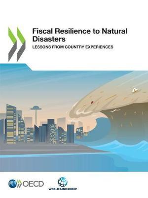 Fiscal resilience to natural disasters: lessons from country experiences