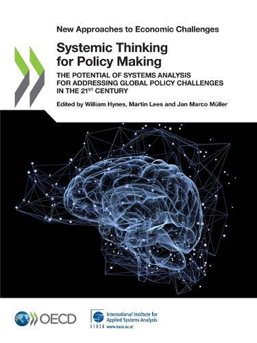 Systemic Thinking for Policy Making