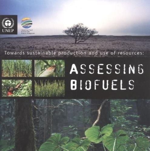 Towards Sustainable Production and Use of Resources: Assessing Biofuels