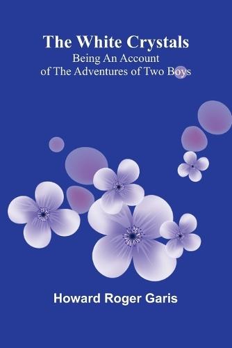 The Young Carpenters of Freiberg A Tale of the Thirty Years' War (Edition1)