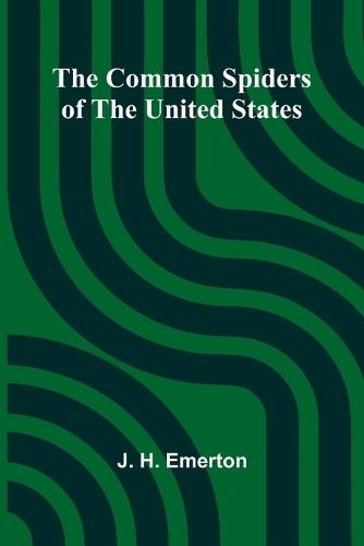 A Chilhowee Lily (Edition1)