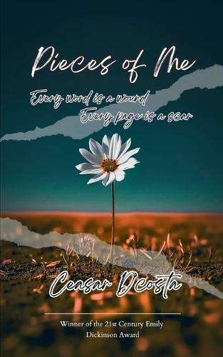 Pieces of Me (Edition1st)