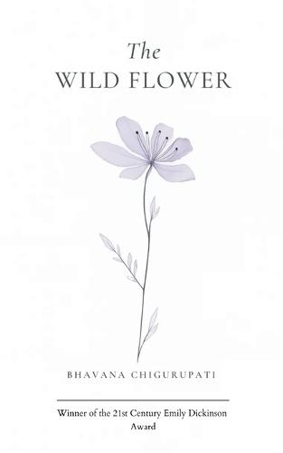 Potery collection 480 (Edition1)