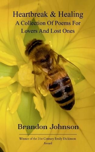 Potery collection 299 (Edition1)