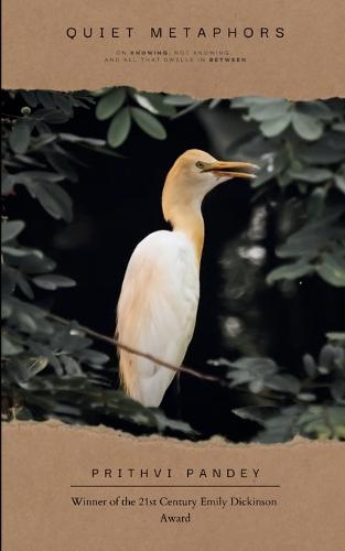 Silent Metaphors (Edition1st)