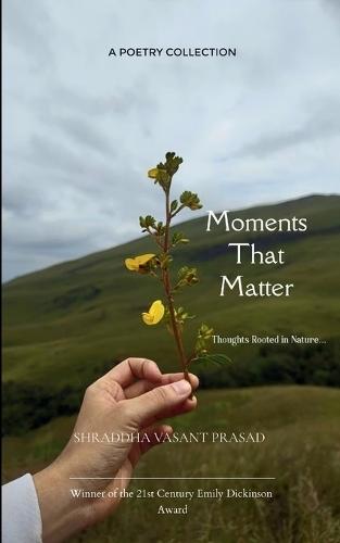 Potery collection 79 (Edition1)