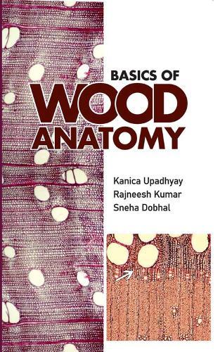 Basics of Wood Anatomy