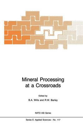 Mineral Processing at a Crossroads: Problems and Prospects
