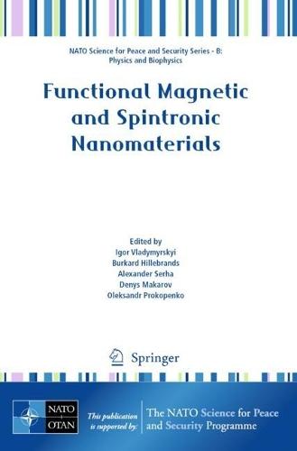 Functional Magnetic and Spintronic Nanomaterials