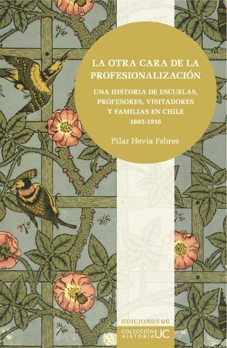 La otra cara de la profesionalización