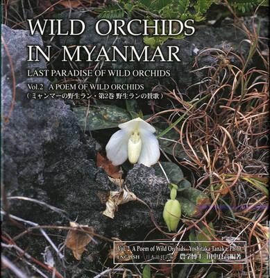 Wild Orchids in Myanmar Vol 2: A Poem of Wild Orchids