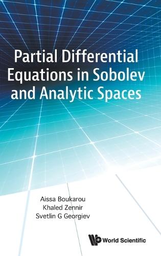 Partial Differential Equations In Sobolev And Analytic Spaces