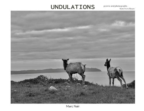 Undulations: poems and photographs from Point Reyes