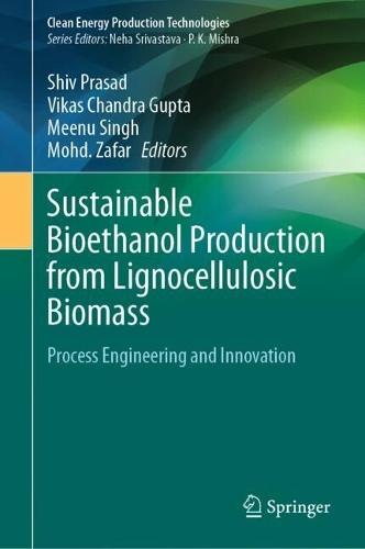 Sustainable Bioethanol Production from Lignocellulosic Biomass: Process Engineering and Innovation