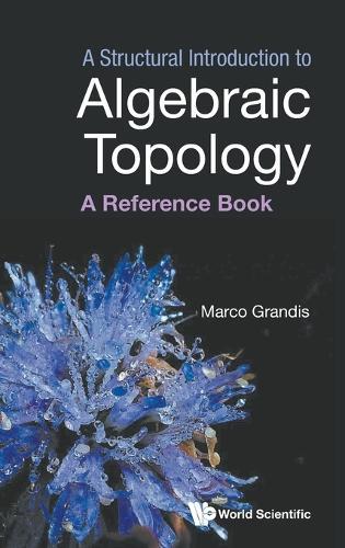 A Structural Introduction To Algebraic Topology: A Reference Book