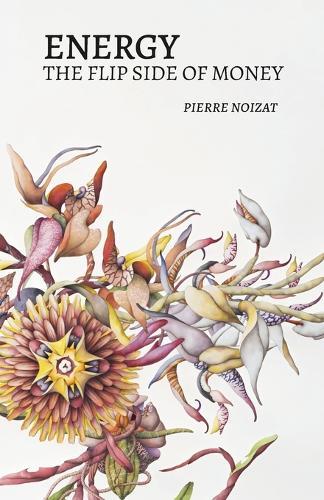 Energy, the flip side of money