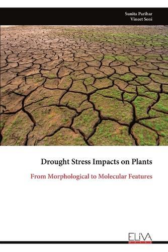 Drought Stress Impacts on Plants: From Morphological to Molecular Features