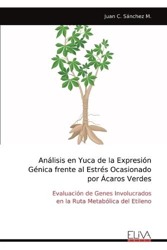 Análisis en Yuca de la Expresión Génica frente al Estrés Ocasionado por Ácaros Verdes