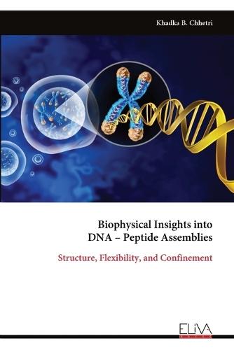 Biophysical Insights into DNA - Peptide Assemblies: Structure, Flexibility, and Confinement