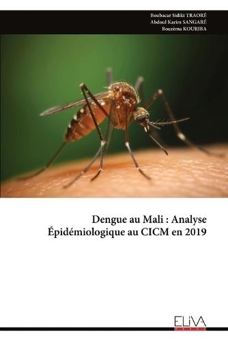 Dengue au Mali: Analyse Épidémiologique au CICM en 2019