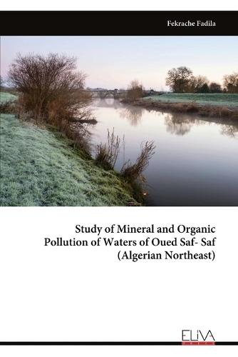Study of Mineral and Organic Pollution of Waters of Oued Saf- Saf (Algerian Northeast)