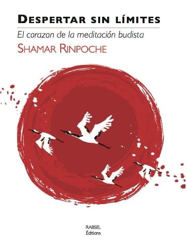 Despertar Sin Limites: El corazn de la meditacin budista
