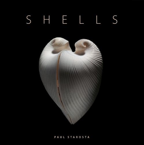Shells