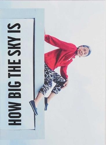 I’m showing you how big the sky is – The story of Chiou Taur Wu told by Martina Bacigalupo