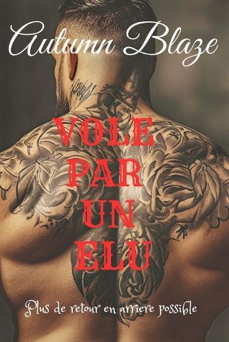 STOLEN By A Chosen: French Edition
