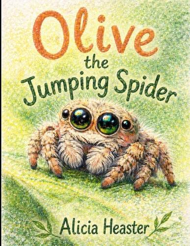 Olive the Jumping Spider
