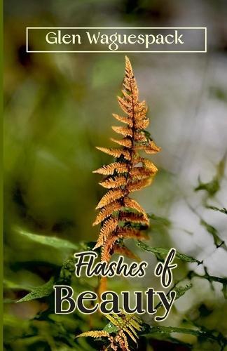 Flashes of Beauty