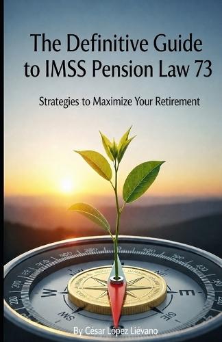 Definitive Guide to the IMSS Law 73 Pension: Strategies to Maximize Your Retirement