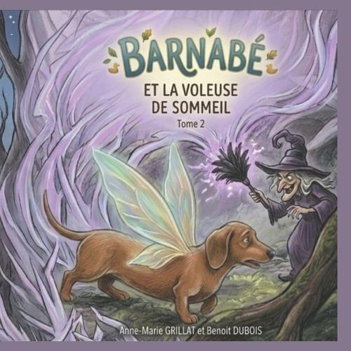 Barnabe Le Teckel Fee: Barnabé et la voleuse de sommeil: Tome 2: L'aventure continue