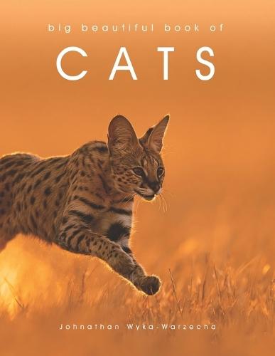 Big Beautiful Book of Cats: Cat Coffee Table Picture Book Cat Breed Photography Images Feline Home Decor Accent Piece