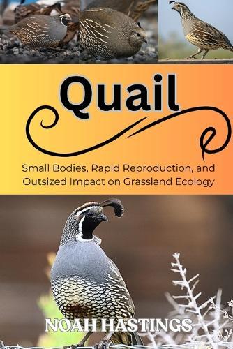 Quail: Small Bodies, Rapid Reproduction, and Outsized Impact on Grassland Ecology