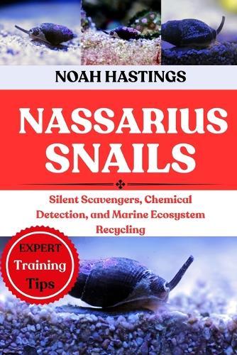 Nassarius Snails: Silent Scavengers, Chemical Detection, and Marine Ecosystem Recycling