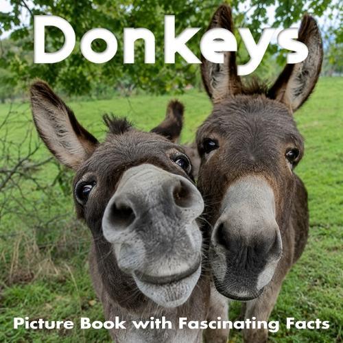 Donkeys Picture Book with Fascinating Facts: Donkey Book for Kids and Toddlers