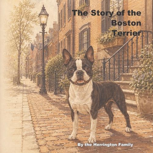 The Story of the Boston Terrier